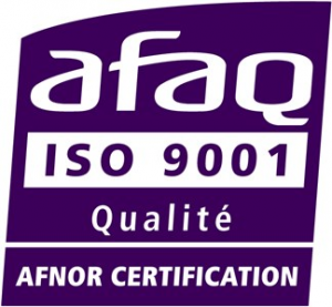 1.2.-Logo-ISO-9001-300x277.png