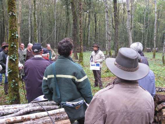 Visite en forêt