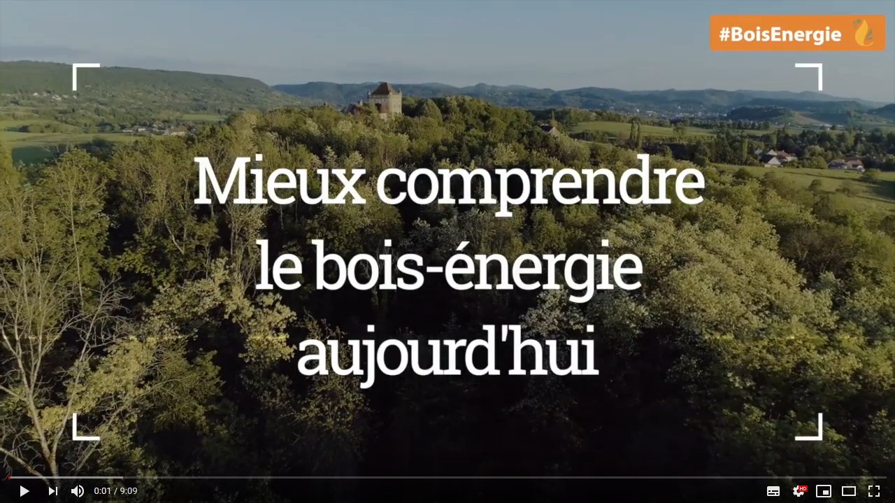 image vidéo CIBE bois énergie.png