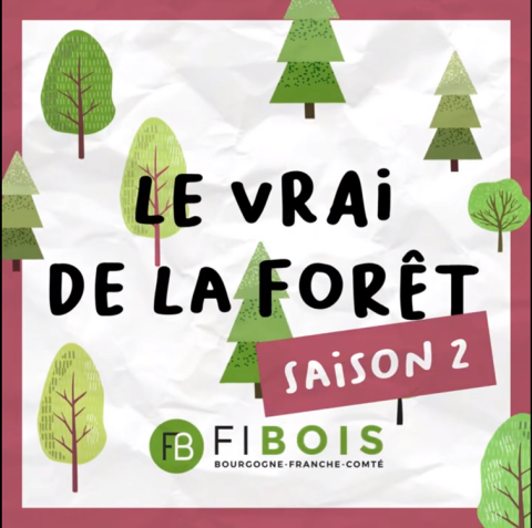 Le Vrai de la Forêt