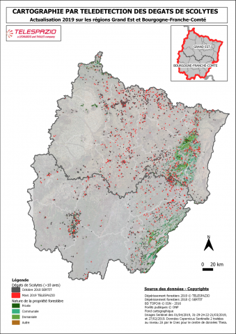 carte dégâts de scolytes