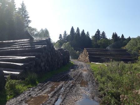 aire de stockage sous aspersion