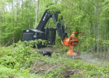 Machines d’abattage de bois énergie