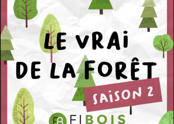 Le Vrai de la Forêt