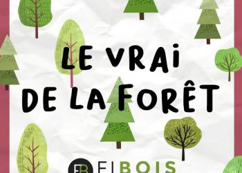 Le Vrai de la Forêt